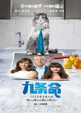 在线播放 中文字幕 一区